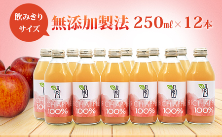 りんごジュース RICH APPLE 無添加製法 12本セット(250ml×12本)