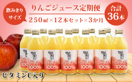 [りんごジュース定期便]RICH APPLE 12本セット×3か月(250ml×12本×3回)