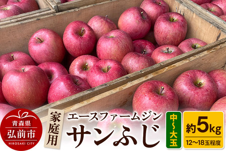りんご【先行受付】【数量限定】家庭用 サンふじ 約5kg（中玉～大玉12～18玉程度）