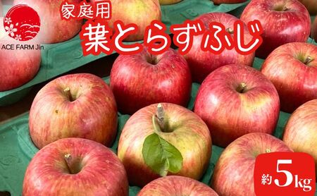 [数量限定]11〜12月発送 家庭用葉とらずふじ約5kg[弘前市産・青森りんご]