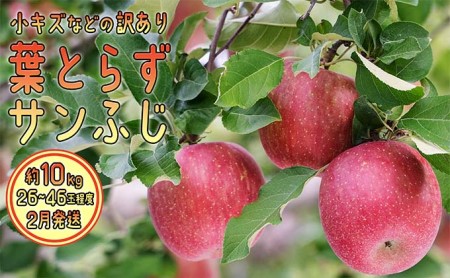 りんご 【 2月発送 】 訳あり 葉とらず サンふじ 約 10kg 【 弘前市産 青森りんご  果物類 林檎 リンゴ  】