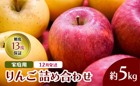 12月発送 家庭用 りんご詰め合わせ 約5kg 2種以上 糖度13度以上 岩木山観光りんご園 弘前市産 青森りんご サンふじ