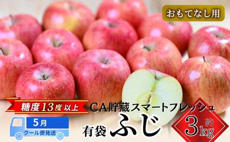 [5月クール便発送] (13度糖度保証) 贈答用 CA貯蔵有袋ふじ 約3kg りんご リンゴ 林檎 有袋ふじ ふじ 果物 くだもの フルーツ 弘前 弘前市産 青森りんご 青森