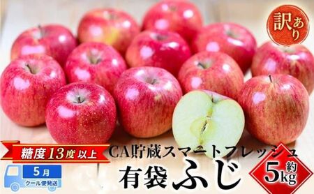 りんご [5月クール便発送] 平均糖度13度以上 訳あり SF CA貯蔵 有袋ふじ 約 5kg [ 弘前市産 青森りんご ] リンゴ 林檎 ふじ 果物 くだもの フルーツ 弘前 青森 訳アリ