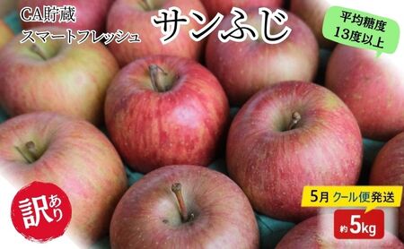 【5月クール便発送】（糖度13度以上）訳あり SFCA貯蔵 サンふじ 約5kg【弘前市産・青森りんご】