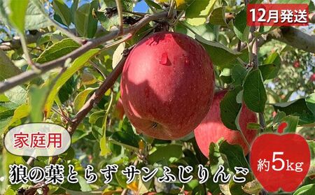 りんご 【 12月発送 】狼の葉とらず サンふじりんご 家庭用 約 5kg 【 弘前市産 青森りんご 】