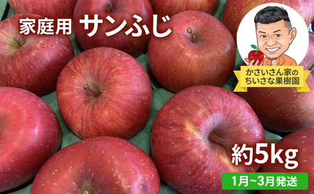 【1月～3月発送】家庭用 サンふじ 約 5kg 【弘前市産・青森りんご】