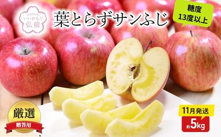 りんご 【11月発送】 蜜入り 糖度13度以上 贈答用 葉とらず サンふじ 約 5kg 【 弘前市産 青森りんご 】