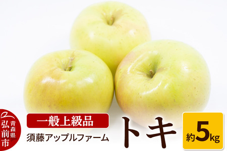 [レビューキャンペーン][25年10月〜発送]りんご トキ 一般用上級品 約5kg