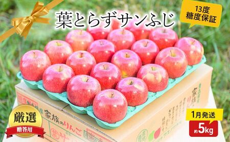 【 1月発送 】 糖度13度以上 おもてなし用 葉とらず サンふじ 約 5kg 【 弘前市産 青森りんご 】 果物 フルーツ デザート 食後 青森県産 産地直送