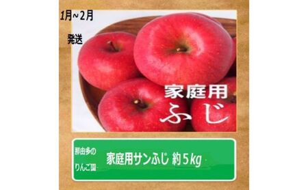 りんご [1〜2月発送][訳あり]家庭用 サンふじ 約5kg 糖度13度以上(糖度証明書付き)[ 弘前市産 青森りんご ]