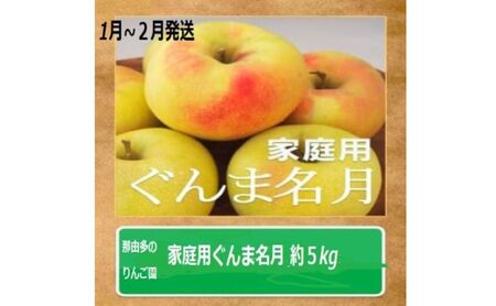 りんご [1〜2月発送訳あり]家庭用 ぐんま名月 約5kg 糖度13度以上(糖度証明書付き)[ 弘前市産 青森りんご 果物類 フルーツ スイーツ こだわり 甘い ジューシー 香り 高糖度 美味しい ]