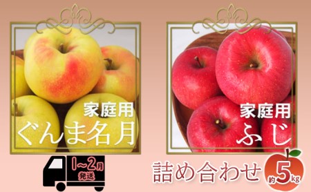 りんご [1〜2月発送][訳あり]家庭用 ぐんま名月 & サンふじ 詰め合わせ 約5kg 糖度13度以上(糖度証明書付)[ 弘前市産 青森りんご ]