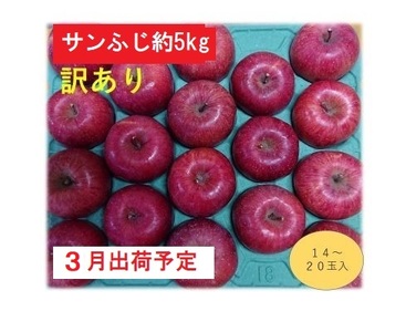 りんご 【 3月発送 】 訳あり 家庭用 百年木の香 三上農園 サンふじ 約 5kg 【 弘前市産 青森りんご  果物 青森のりんご フルーツ デザート 食後  】