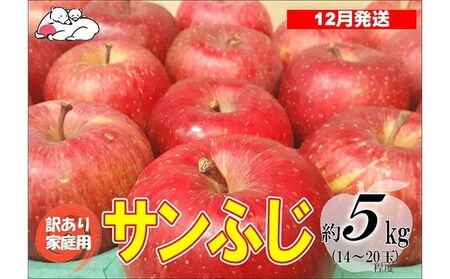 [12月発送]白熊 訳あり家庭用 サンふじ 約5kg 糖度13度[弘前市産 青森りんご 果物 フルーツ 食後 デザート シャキシャキ ジューシー りんごの王様 ]