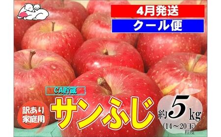 [クール便]4月発送 白熊 訳あり家庭用 サンふじ 約5kg 糖度13度[弘前市産 青森りんご・CA貯蔵] 果物 フルーツ 食後 デザート シャキシャキ ジューシー りんごの王様