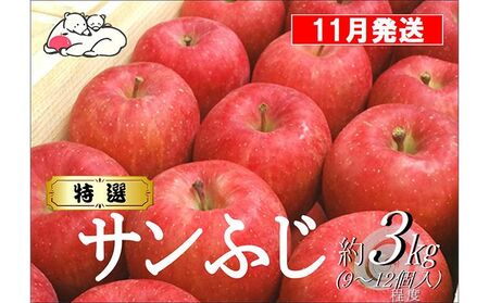 [11月発送]白熊 特選 サンふじ 絆 約3kg 糖度13度[弘前市産 青森りんご]