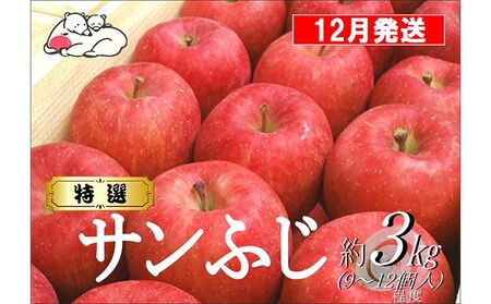 [12月発送]白熊 特選 サンふじ 絆 約3kg 糖度13度[弘前市産 青森りんご 果物 フルーツ 食後 デザート シャキシャキ ジューシー りんごの王様 ]