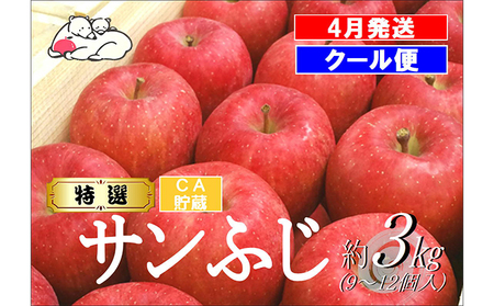 [クール便]4月発送 白熊 特選 サンふじ 絆 約3kg 糖度13度[弘前市産 青森りんご・CA貯蔵]