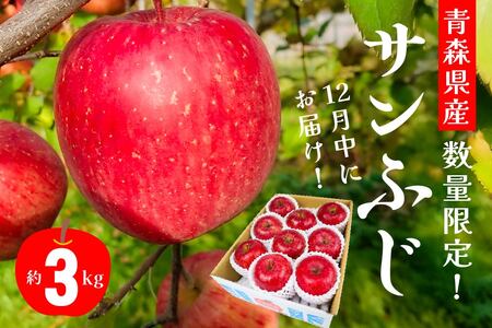 12月中にお届け!青森県産 サンふじ 3kg りんご 年内配送 家庭用 贈答用