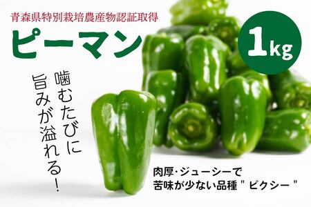 [青森県特別栽培]ピーマン 1kg ピクシー [8月上旬〜10月前半発送]