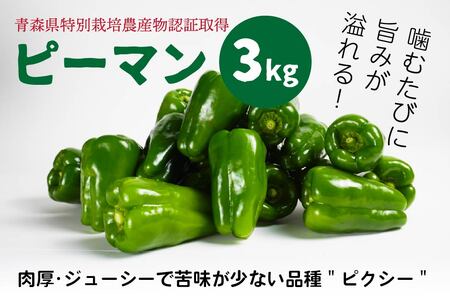 【青森県特別栽培】ピーマン 3kg ピクシー 【8月上旬～10月前半発送】　