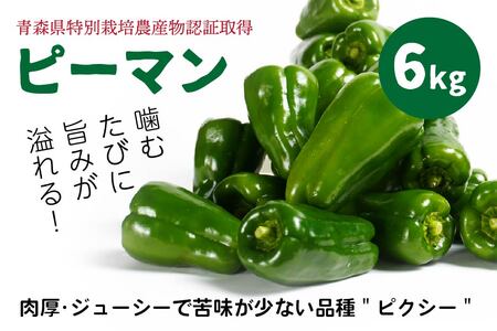 【青森県特別栽培】ピーマン 6kg ピクシー 【8月上旬～10月前半発送】　