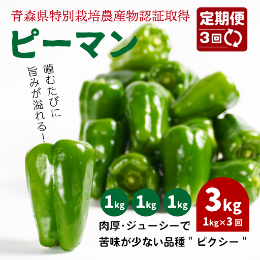 【3回定期便】 【青森県特別栽培】ピーマン 1kg ピクシー　