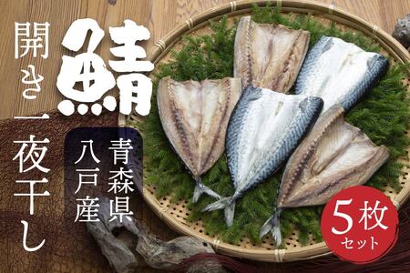 八戸産 鯖開き一夜干し 5枚セット