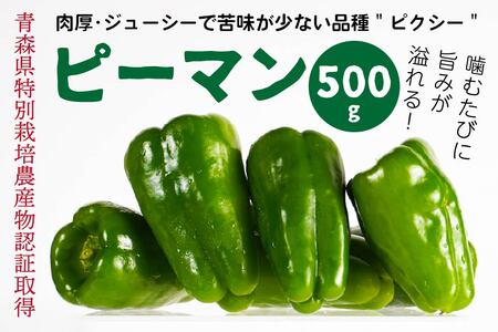 [青森県特別栽培]ピーマン 500g ピクシー [8月上旬〜10月前半発送]