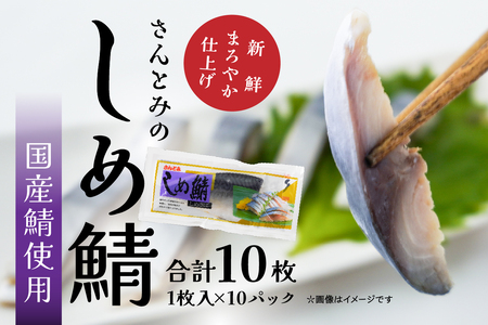 三富産業 しめ鯖 10パック 急速冷凍 〆さば 締め鯖 青森県 八戸市
