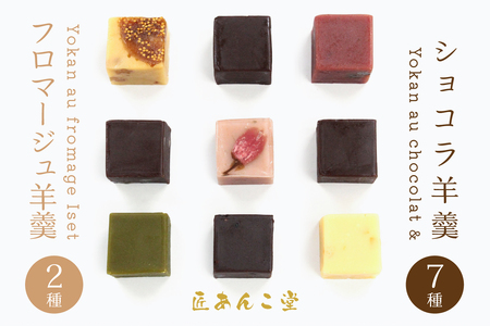 かねご製餡 匠あんこ堂 Yokan au chocolat & Yokan au fromage Iset 新感覚 羊羹 ショコラ 7種 フロマージュ 2種 合計9種 セット チョコレート 白あん 青森県 八戸市