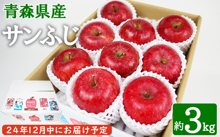 12月中にお届け!青森県産 サンふじ 3kg りんご 年内配送 家庭用 贈答用