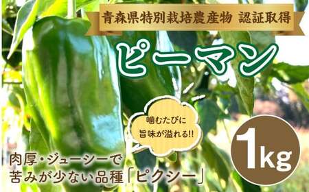 [青森県特別栽培]ピーマン 1kg ピクシー [8月上旬〜10月前半発送]