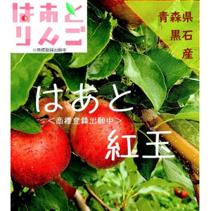 青森県産りんご 'はあと'紅玉 3K箱