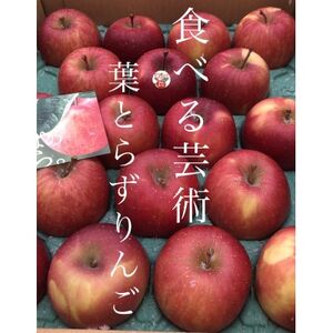 ꉟ!ƂƂ˂l߂񂲁@tƂ炸Tӂ@p@5kg@ґ!_ʕEt[c   S ь_y1342650z