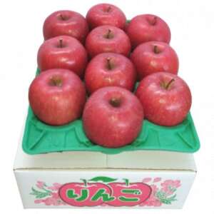 y2025N12菇zXΎY Tӂ3kg_ʕEt[c   S ь_y1449239z