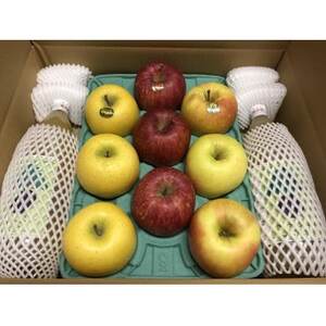 2i3kgƂ񂲃W[X1bgr×2{̋l!悭΂Zbg@p_ʕEt[c   C`S   EhN 񂲃W[X ʏ` ьW[X AbvW