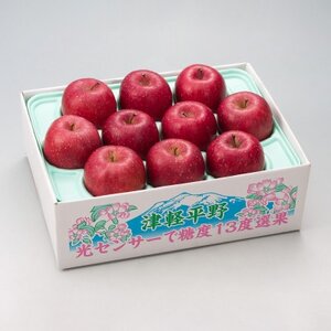 [令和7年産・先行予約]糖度13度選果 サンふじ 約2.5kg 鮮度保持剤・保存用ポリ袋付_果物・フルーツ りんご リンゴ 林檎_[配送不可地域:離島・沖縄県]