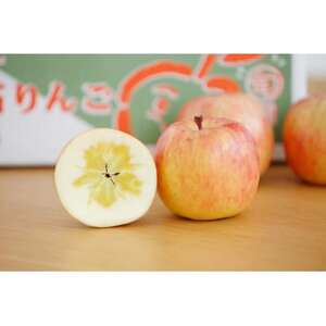 yߘa7N11{菇\zƂ 2kg(8`12)_ʕEt[c   S ь_yzsnFzy1505246z