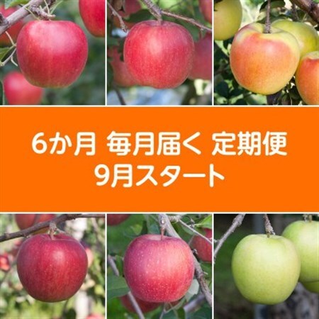 【発送月固定定期便】〈2026年9月より順次発送〉甘味系・青森県産りんご約3kg 全6回_果物・フルーツ りんご  リンゴ 林檎  定期便 定期便  _【配送不可地域：離島・沖縄県】【4051699】
