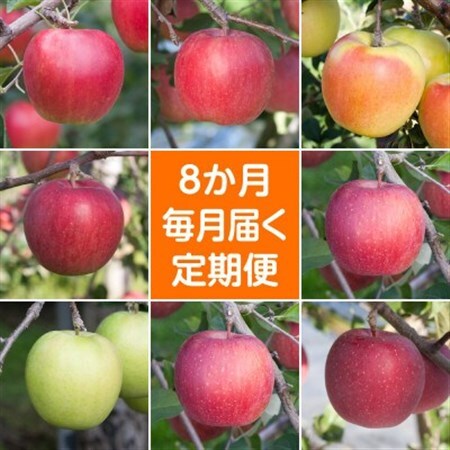 【発送月固定定期便】〈2026年9月より順次発送〉甘味系・青森県産りんご約3kg全8回_果物・フルーツ りんご  リンゴ 林檎  定期便 定期便  _【配送不可地域：離島・沖縄県】【4051702】