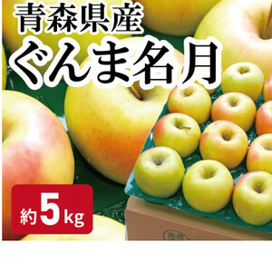 【黒石市産】糖度13度以上保証!ぐんま名月おもてなし用約5kgりんご ※離島・沖縄は配送不可【配送不可地域：離島・沖縄県】【1521278】