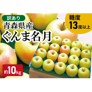 【黒石市産】糖度13度以上保証!ぐんま名月訳アリ家庭用約10kgりんご ※離島・沖縄は配送不可【配送不可地域：離島・沖縄県】【1521281】