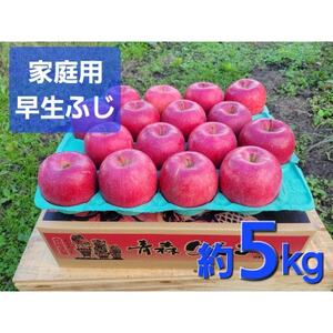 y󂠂zXY񂲁uӂ ƒpv5kg@Yn!_ʕEt[c   S ь_y1517218z