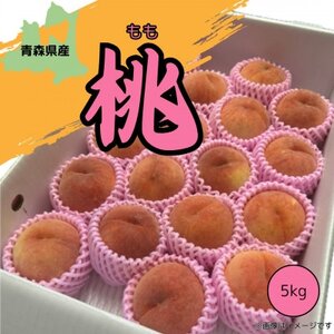 青森県産 桃 5kg(15～20玉)【2025年8月中旬～発送開始】_果物・フルーツ もも  モモ 桃_【配送不可地域：離島】【1548640】