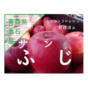 サンふじ 3K箱(約3kg)[美味しさ長持ち!スマートフレッシュ処理]_果物・フルーツ りんご リンゴ 林檎_[配送不可地域:離島]