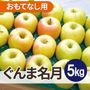 [26年4月より順次発送]平均糖度13度以上! ぐんま名月 約5kg おもてなし用 クール便_果物・フルーツ りんご リンゴ 林檎_[配送不可地域:離島・沖縄県]