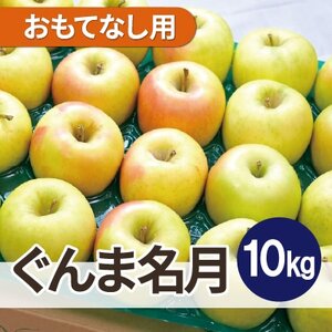 ϓx13xȏ! ܖ 10kg ĂȂp_ʕEt[c   S ь_yzsnFꌧzy1610377z