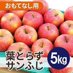 平均糖度13度以上! 葉とらずサンふじ 約5kg おもてなし用_果物・フルーツ りんご リンゴ 林檎_[配送不可地域:沖縄県]